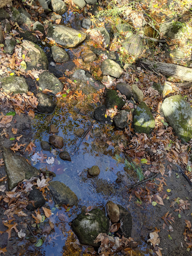 Park «Garfield Park», reviews and photos, Garfield St, Lexington, MA 02421, USA