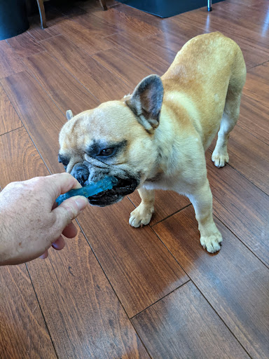 Barber Shop «Blvd Barbers», reviews and photos, 1401 Gulf Blvd, Indian Rocks Beach, FL 33785, USA