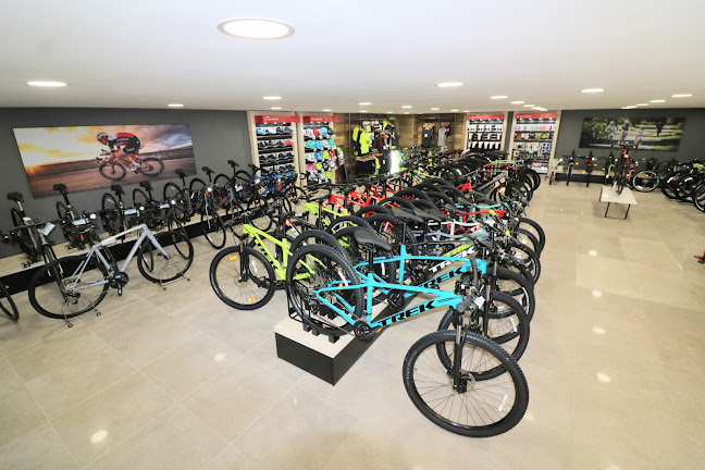 The Bike Cellar ltd - Bicycle store