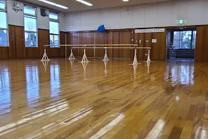 Muko Gymnastics image