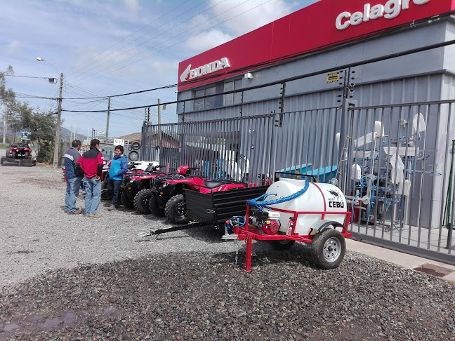 El trapiche 1351, San Fernando, O'Higgins