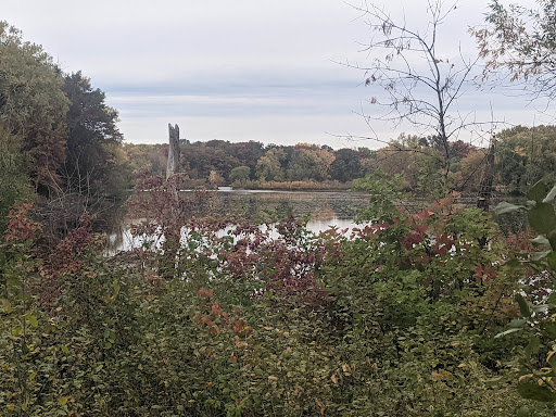 Park «Langton Lake Park», reviews and photos, 1894 County Rd C2 W, Roseville, MN 55113, USA