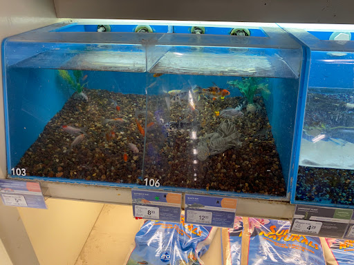 Pet Supply Store «PetSmart», reviews and photos, 8657 Villa La Jolla Dr, La Jolla, CA 92037, USA