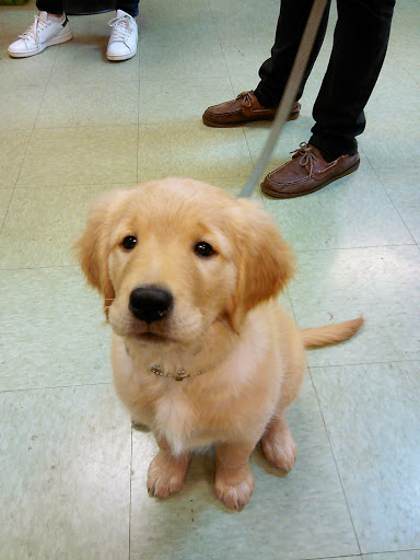 Pet Groomer «Happy Tails Pet Center», reviews and photos, 4370 SE King Rd Ste 260, Milwaukie, OR 97222, USA