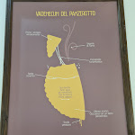 Photo n°2 de l'avis de Brijesh.o fait le 20/02/2023 à 20:06 sur le  Panzerotto à Matera