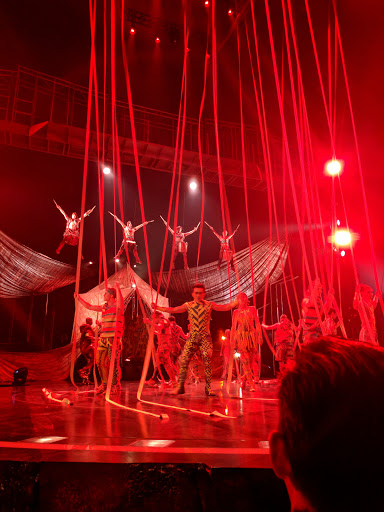 Off Track Betting Shop «Tampa Greyhound Track», reviews and photos, 8300 N Nebraska Ave, Tampa, FL 33604, USA