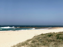 Kianga Beach'in fotoğrafı geniş bir kıyı şeridi ile birlikte