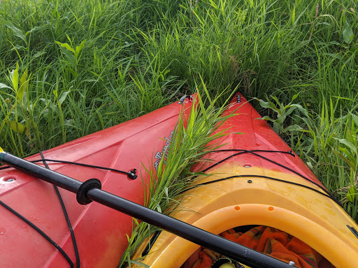 Canoe & Kayak Rental Service «Scappoose Bay Paddling Center», reviews and photos, 57420 Old Portland Rd, Warren, OR 97053, USA