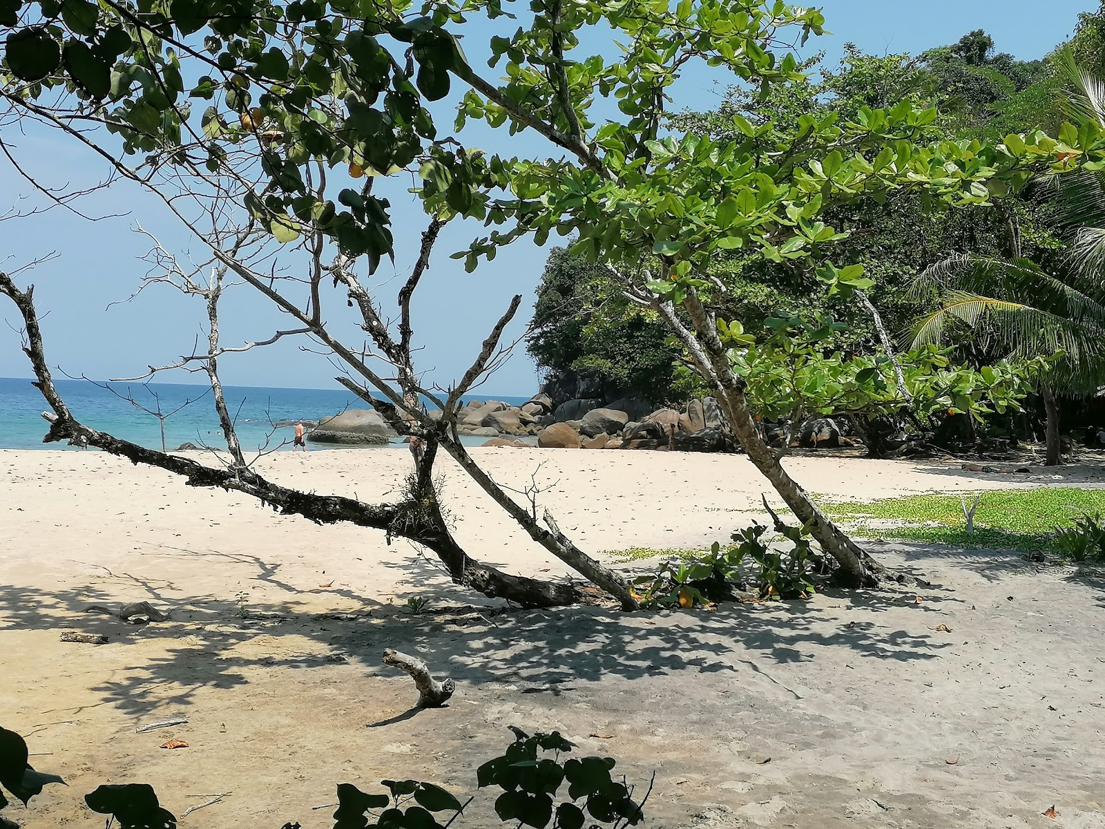 Little White Sandy Beach photo #9