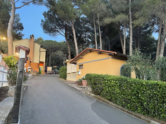 Photos des visiteurs Camping avec cabanes Le Pianacce Camping Village Glamping 57022 Castagneto Carducci