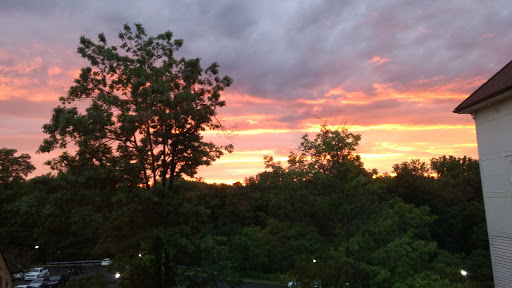 Wine Bar «Thirsty Mind Coffee and Wine Bar», reviews and photos, 23 College St # 6, South Hadley, MA 01075, USA