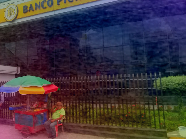 Opiniones de Banco Pichincha, Santo Domingo Indio Colorado en Santo Domingo de los Colorados - Banco