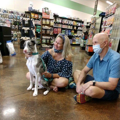 Pet Store «Choice Pet Market», reviews and photos, 20028 N 67th Ave, Glendale, AZ 85308, USA