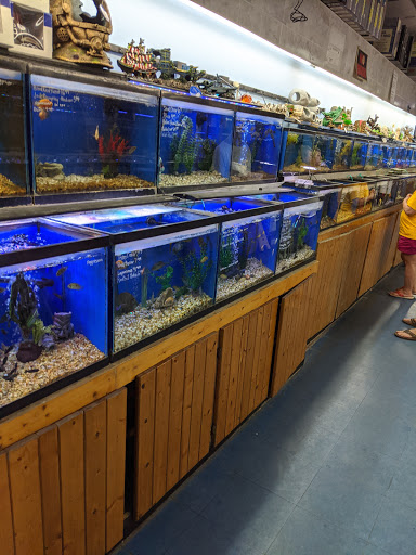 Aquarium «Greentree Pet Center», reviews and photos, 1604 Greentree Blvd, Clarksville, IN 47129, USA
