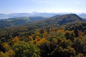 Zurich Wilderness Park Sihlwald image