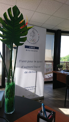 Centre de loisirs C.R.O.S Bretagne Comité Régional Olympique et Sportif de Bretagne Rennes