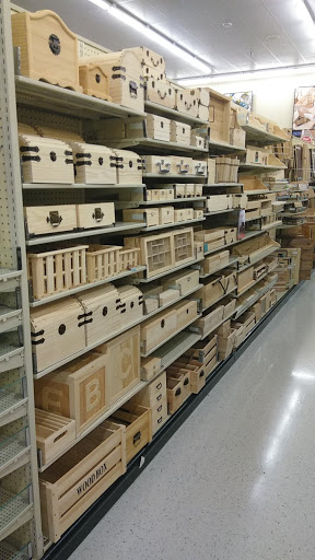 Craft Store «Hobby Lobby», reviews and photos, 3165 S McKenzie St, Foley, AL 36535, USA