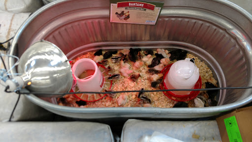 Home Improvement Store «Tractor Supply Co», reviews and photos, 1650 W Princeton Dr, Princeton, TX 75407, USA