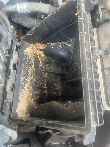 Ford Dealer «Brandon Ford», reviews and photos, 9090 E Adamo Dr, Tampa, FL 33619, USA