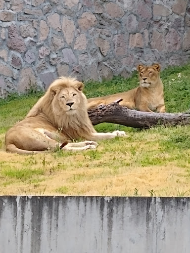 Parque zoológico Ecatepec de Morelos