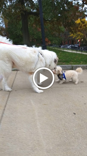 War Memorial «Bunker Hill Monument», reviews and photos, Monument Sq, Charlestown, MA 02129, USA