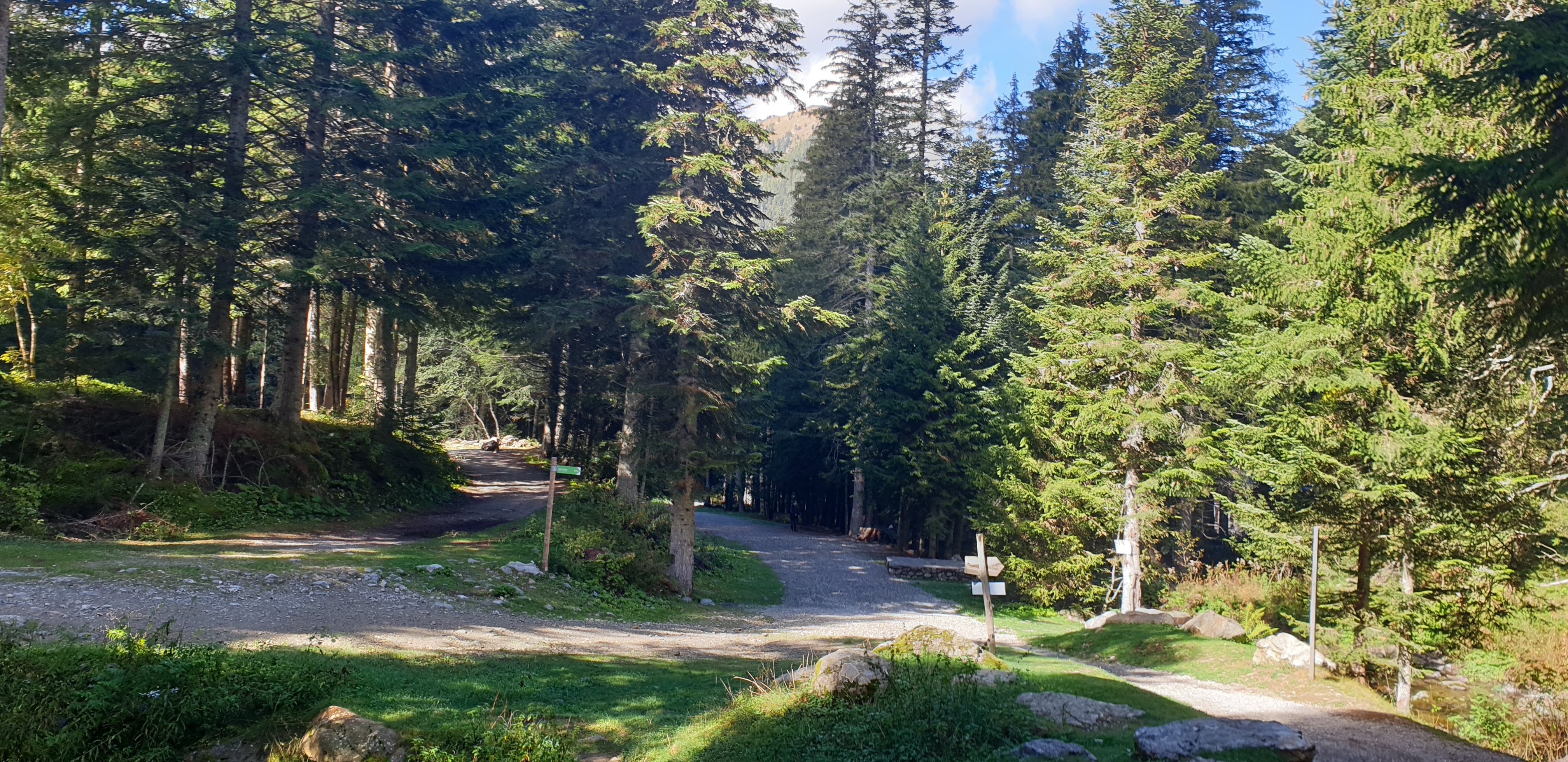 Photo n° 6 de l'avis de David.e fait le 13/10/2020 à 20:00