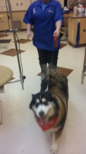 Pet Supply Store «PetSmart», reviews and photos, 208 Mariner Way, Biddeford, ME 04005, USA