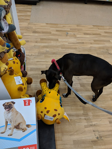 Pet Supply Store «Petco Animal Supplies», reviews and photos, 43465 Ford Rd, Canton, MI 48187, USA