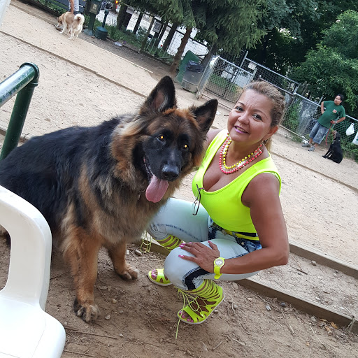 Dog Park «Forest Park Dog Run», reviews and photos, 8445 Park Ln S, Woodhaven, NY 11421, USA