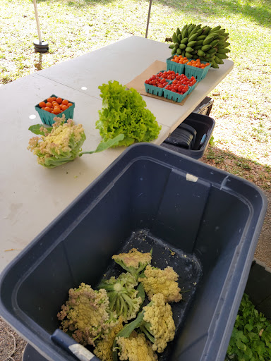 American Restaurant «Upper Eastside Farmers Market», reviews and photos, 6599 Biscayne Blvd, Miami, FL 33138, USA