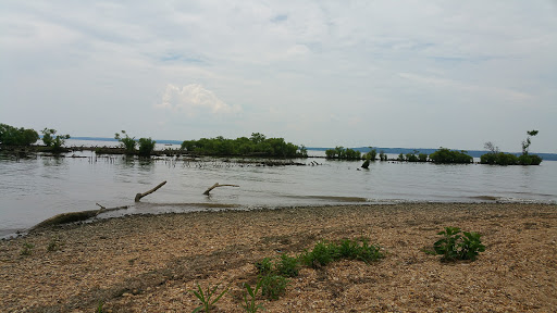 Tourist Attraction «Mallows Bay», reviews and photos, 1440 Wilson Landing Rd, Nanjemoy, MD 20662, USA