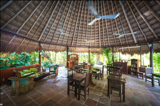 Brew Tulum Specialty Coffee Experience