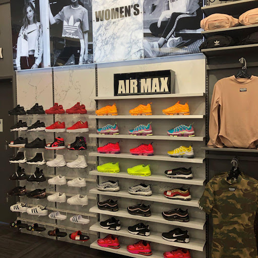 Shoe Store «Hibbett Sports», reviews and photos, 11131 Fondren Rd, Houston, TX 77096, USA