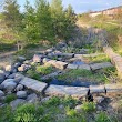 Woodland Park Wetlands