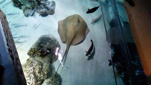 Amusement Center «LEGOLAND at Discovery Center Kansas City», reviews and photos, 2475 Grand Blvd, Kansas City, MO 64108, USA