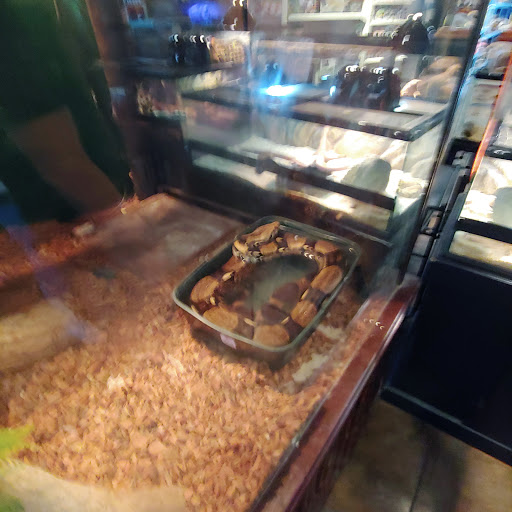 Pet Store «Pet Kingdom», reviews and photos, 4650 S Cleveland Ave, Fort Myers, FL 33907, USA