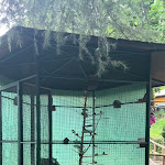 Photo n°26 de l'avis de Eugenio.o fait le 22/04/2024 à 17:46 sur le  Bar Lux - Ristorante à Vittorio Veneto