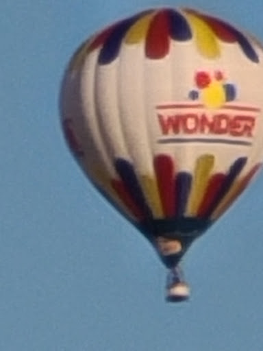 Vineyard «Stone Pillar Vineyard & Winery», reviews and photos, 11000 S Woodland St, Olathe, KS 66061, USA