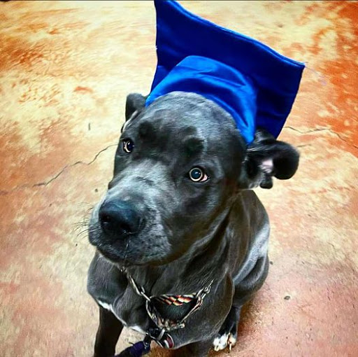 Auto Repair Shop «Hotchkiss Auto Repair», reviews and photos, 6918 E Colfax Ave, Denver, CO 80220, USA