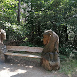 Photo n°7 de l'avis de Iris.n fait le 08/09/2022 à 10:11 sur le  Wisentgehege (Gaststätte) à Jabel