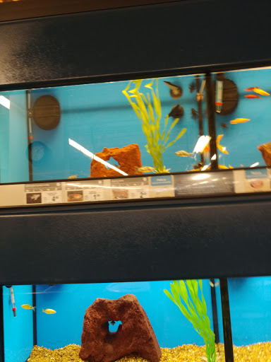 Pet Supply Store «Petco Animal Supplies», reviews and photos, 3800 S Tamiami Trail #20, Sarasota, FL 34239, USA