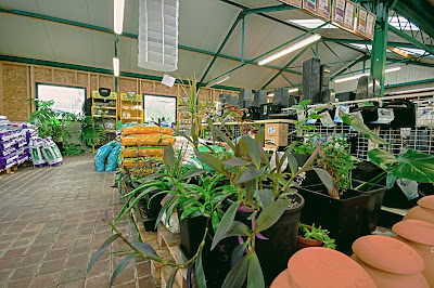 CBD Morlaix - HydroetCulture Morlaix à Saint-Martin-des-Champs