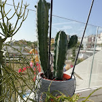 Photo n°3 de l'avis de Sonia.i fait le 05/08/2019 à 17:04 sur le  Belaburdela | Beach Life - Healthy Food - Sea Cafe' à Torre Pedrera