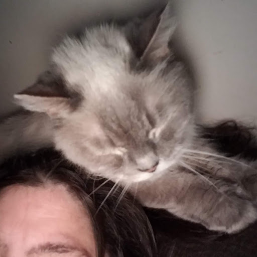 Pet Supply Store «Pet Supplies Plus», reviews and photos, 228 Gadsden Hwy, Birmingham, AL 35235, USA