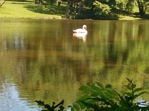 Tire Shop «Mavis Discount Tire», reviews and photos, 63 NJ-31, Pennington, NJ 08534, USA