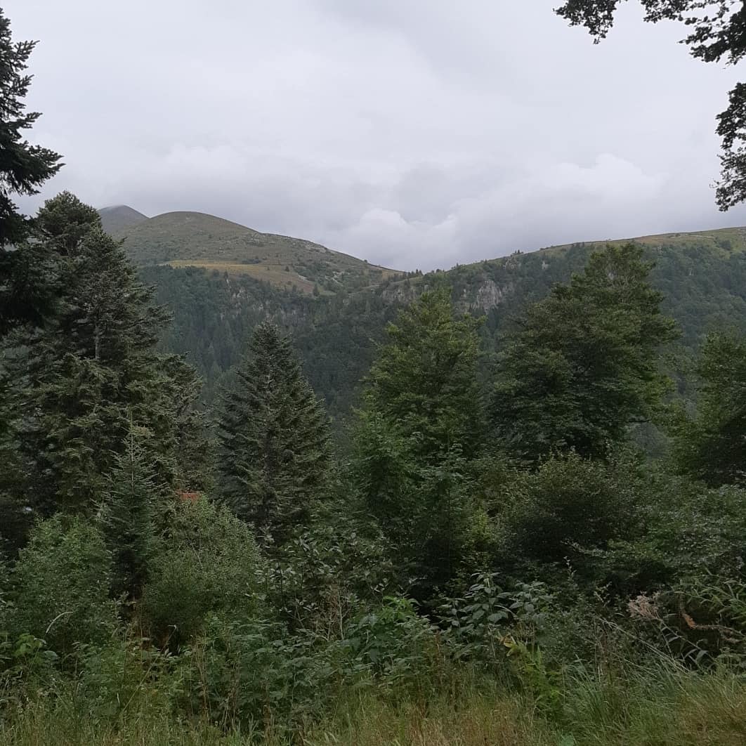 Photo n° 2 de l'avis de Estelle.e fait le 20/08/2019 à 16:32