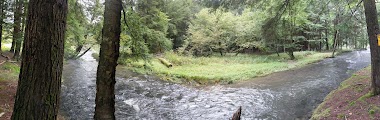 Moores Run Fish And Game Preserve
