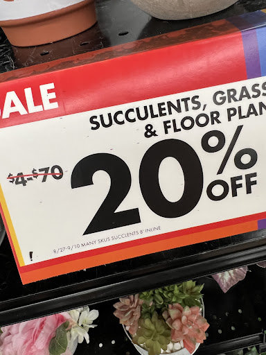 Discount Store «Big Lots», reviews and photos, 409 N Litchfield Rd, Goodyear, AZ 85338, USA