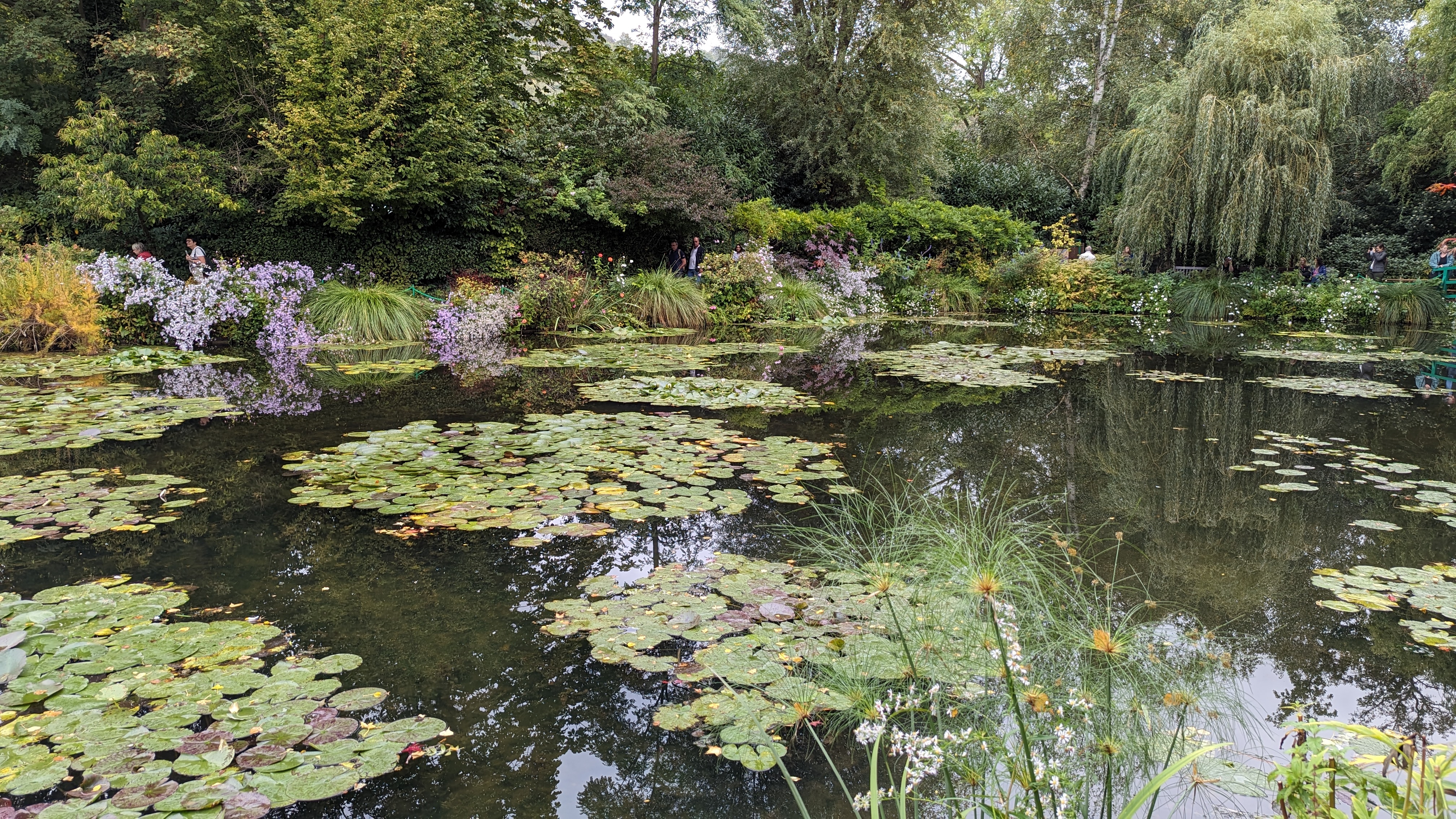 Photo n° 2 de l'avis de Olivier. fait le 15/10/2023 à 12:26