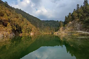 Presa el jabali image